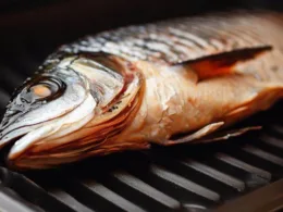 Ryba z grilla elektrycznego - przepisy i porady