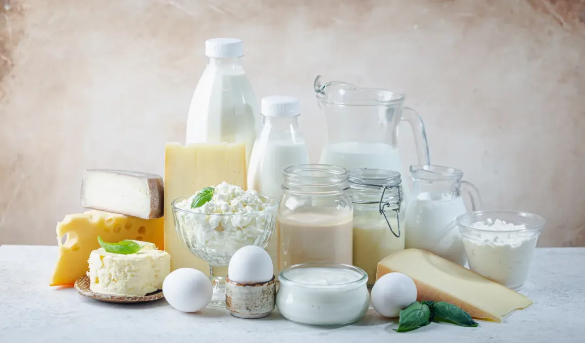 fresh dairy products 2023 11 27 05 20 18 utc